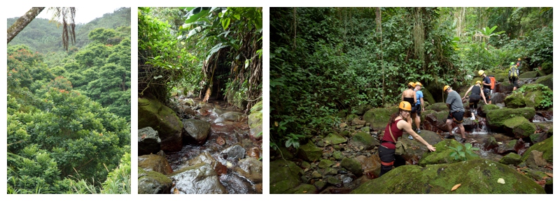 Puerto Rico-Rainforest-Photography-Adventure-Boudoir.jpg Puerto Rico-Rainforest-Photography-Adventure-Boudoir.jpg